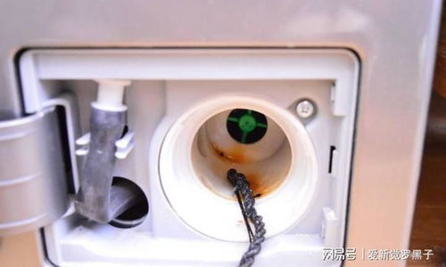 年末清潔大作戰 你家的洗衣機該洗了，共享洗衣機清潔全攻略